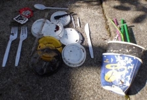 gallery/p1100564 comp