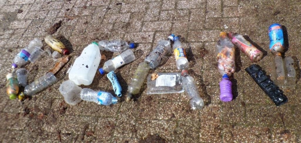 gallery/p1100557 - copy